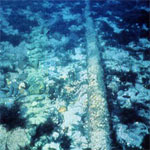 Undersea Cable Undersea Cable
