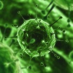 Infection Trends Infection Trends