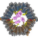cancer-nanobot