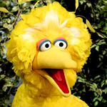 Big Bird