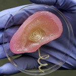 3D-Printed Bionic Ear