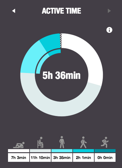 Polar Loop's Daily Breakdown Polar Loop's Daily Breakdown