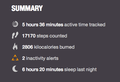 Polar Loop's Summary Polar Loop's Summary