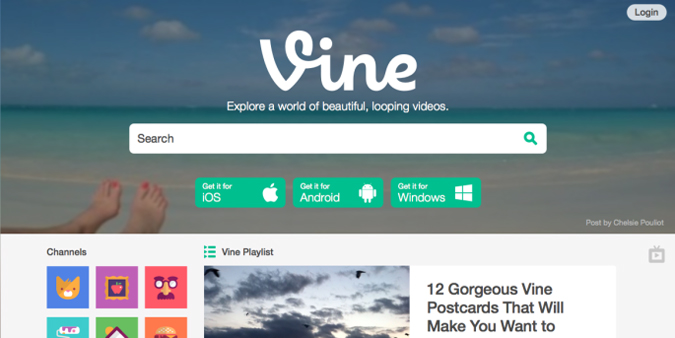 Vine