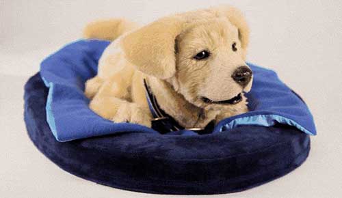 Tombot's Jennie
