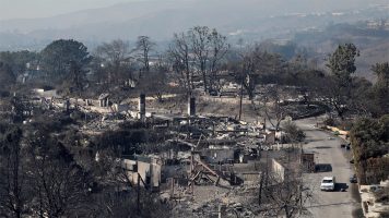 LA Fires Aftermath